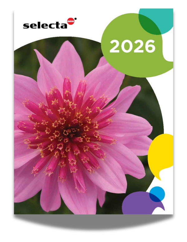 Selecta One 2026 Catalog Cover with a Dahlia Venti™ PinkBurst and colorful amoebas surrounding it. 
